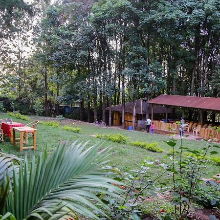 Africana Yard Kitale Zewnętrze zdjęcie